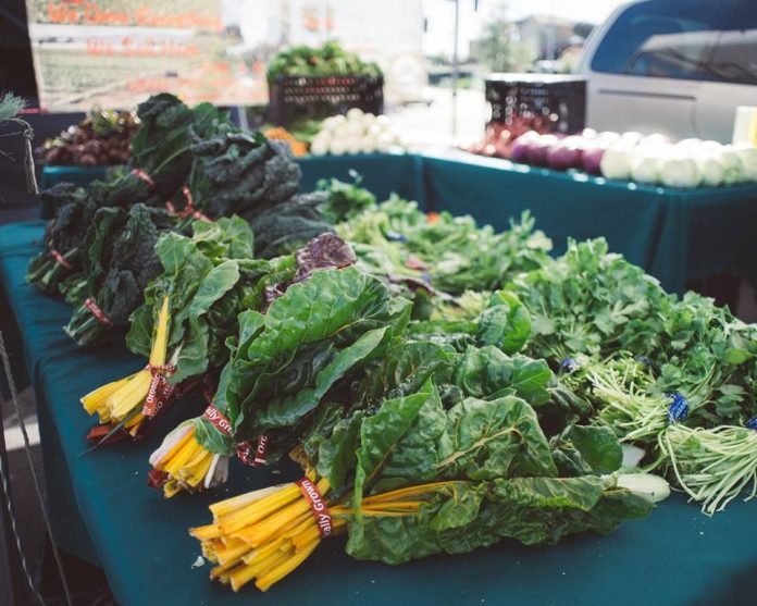 Picture of kale and rainbow chard at Everyone’s Harvest Farmer’s Market.