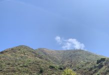 Garrapata State Park