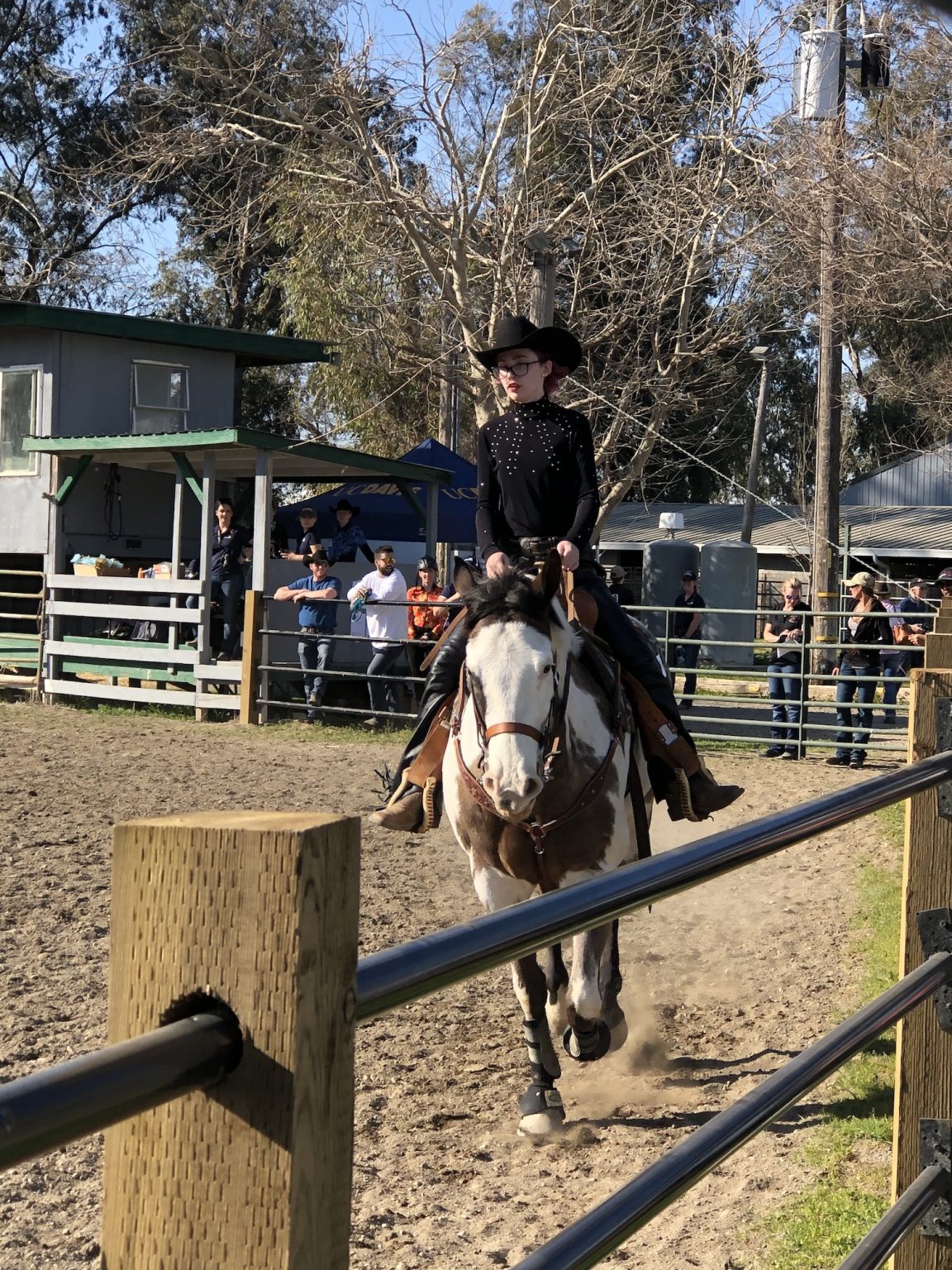Western equestrian team’s final show The Lutrinae