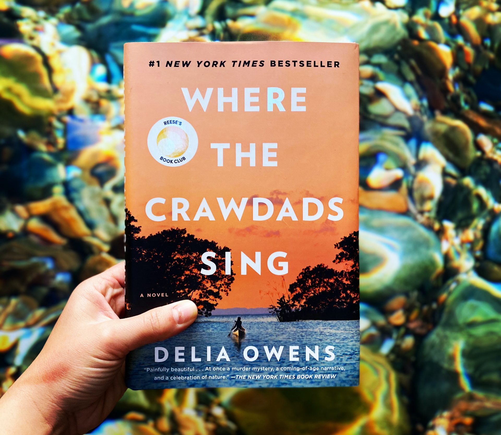 book reviews for where the crawdads sing