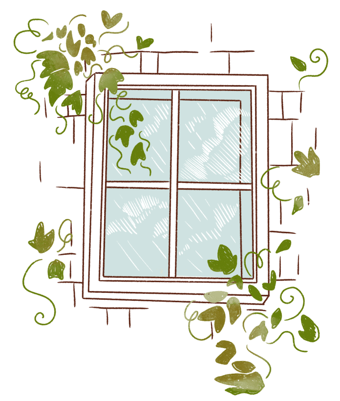 Illustration of window with vines around it.