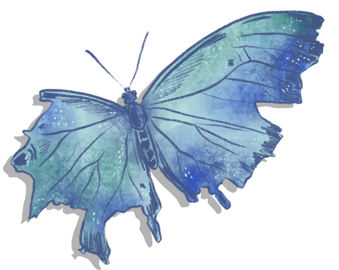 Blue butterfly with a broken off wing