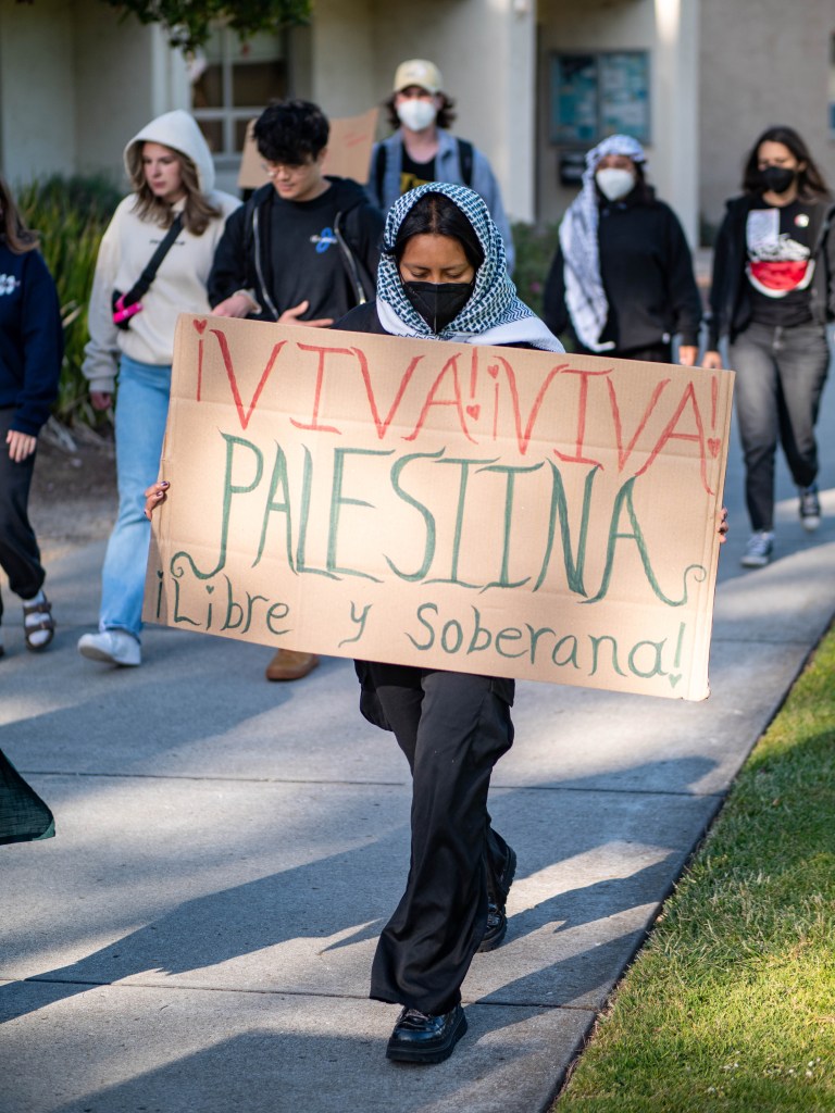 Protester holding sign that says Viva Viva Palestina. Libre y soberana.
