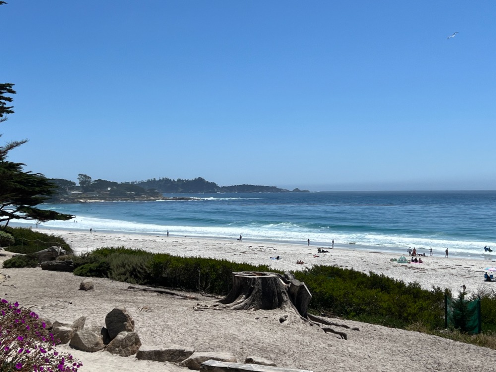 Picture of Carmel City Beach