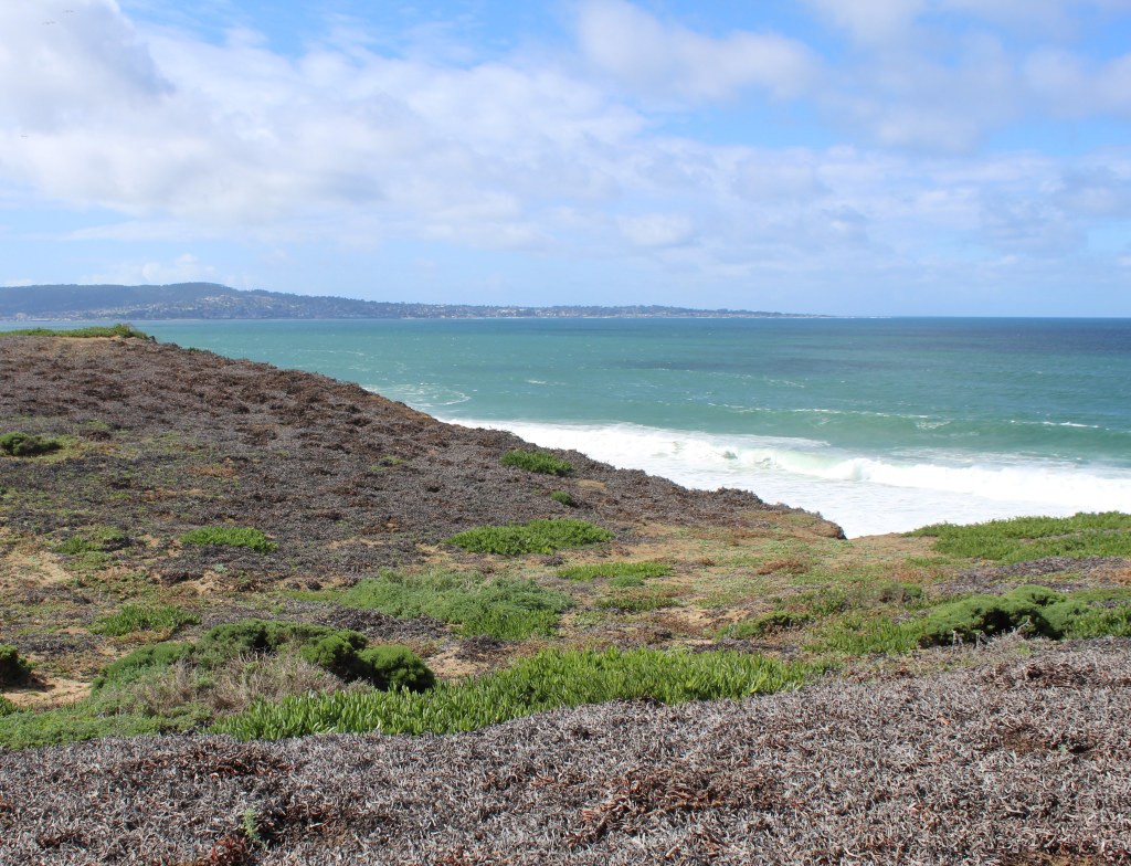 Picture of Fort Ord State Beach.