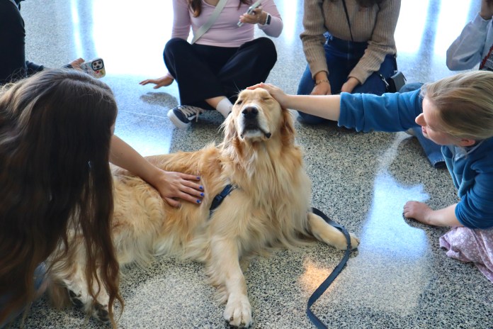 Students sitting around and petting Blue the therapy dog.