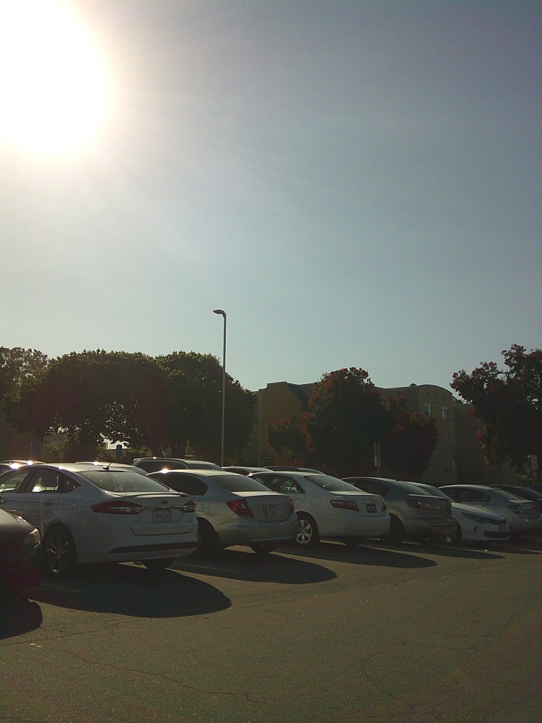 Picture of another full parking lot
