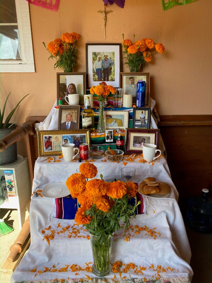 picture of a dia de los muertos offrenda (altar). On the altar, there are multiple vases of Marigold flowers, Marigold petals, pictures of loved ones, items the loved ones loved when living, and candles.