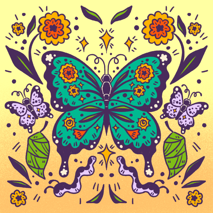 Illustration of multiple butterflies with caterpillars and cocoons and flowers.