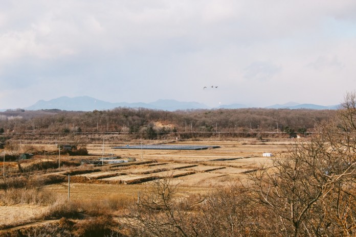Photograph of the Korean Demilitarized Zone; On the left is the North Korean flag, on the right is South Korean flag.
