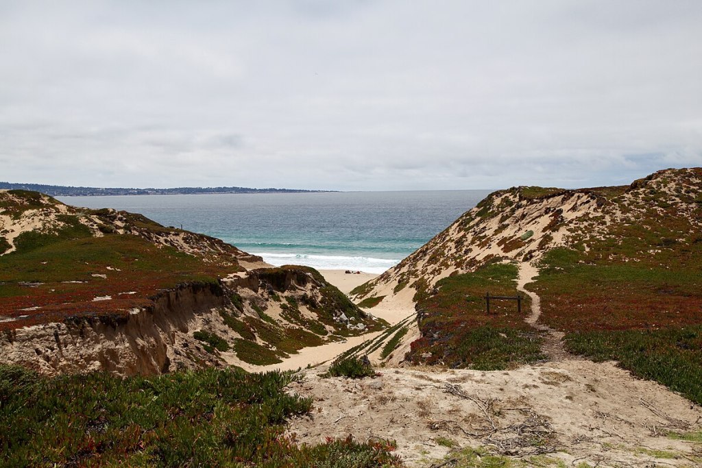 Photo of Fort Ord Beach