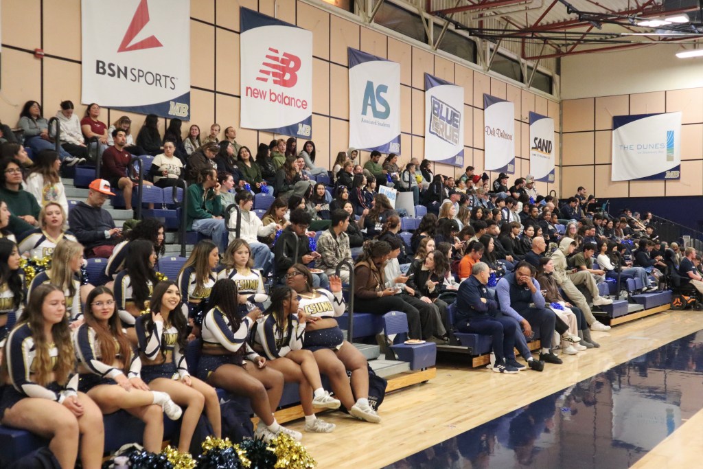 Picture of the crowd at the game