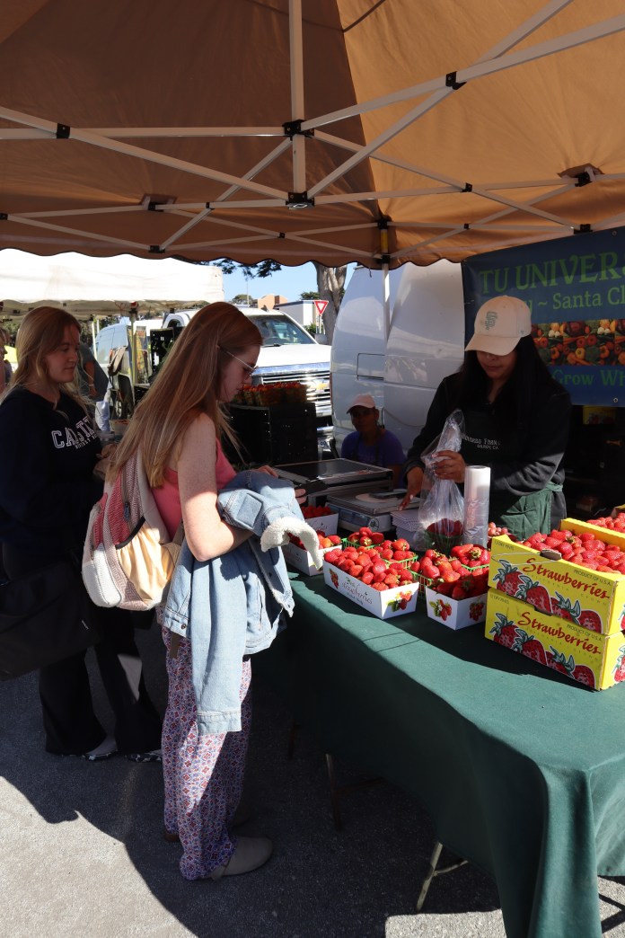 Photo of students interacting with a vendor at the farmers market