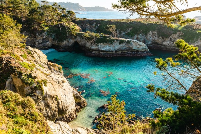 picture of point lobos