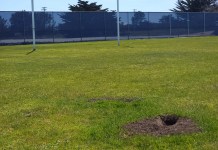 CSUMB recreation field in desperate need of an upgrade Ground squirrels holes