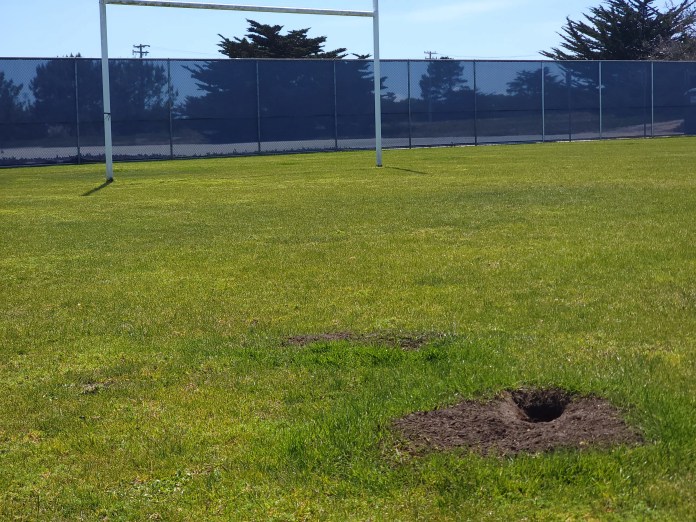 Ground squirrels holes