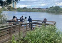 Otter Birding Club: An open nest for birding pros and newbies alike