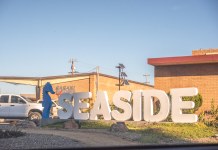 Flock cameras and fireworks: Seaside mayoral, city council candidates make their pitch to the community