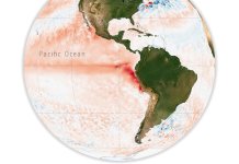 Gearing up for El Niño, preparation for students and campuswide